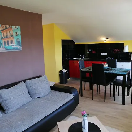 Elena Villa *