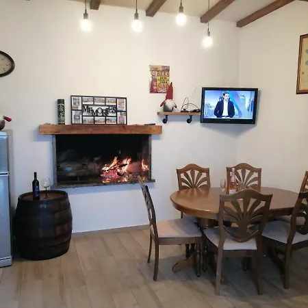 Elena Villa